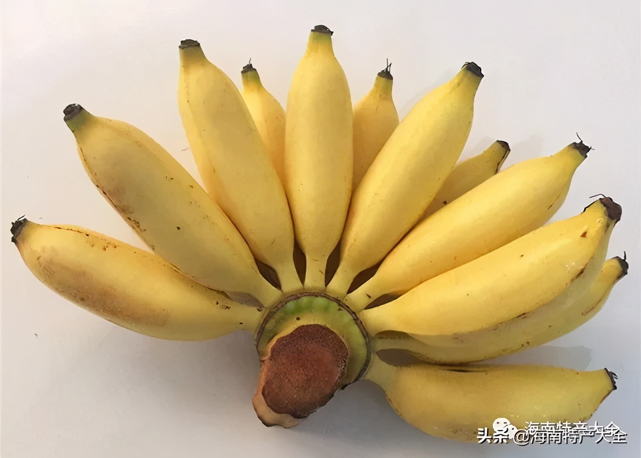 海南(nan)熱帶水果全介紹（第2篇）