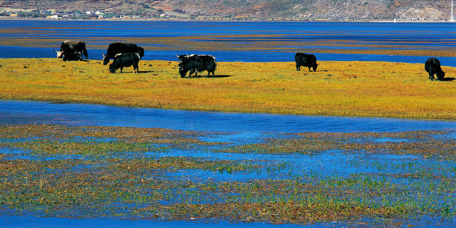 中(zhong)國(guo)20箇(ge)美豔絕倫的(de)景觀，你去過(guo)10箇(ge)就算旅遊達人(ren)啦