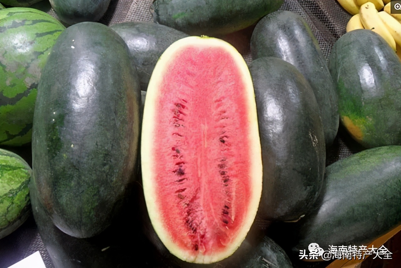 海南(nan)熱帶水果全介紹（第2篇）